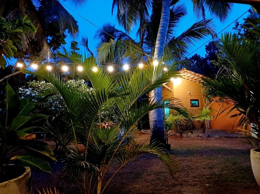 Turtle Island Cabana 坦加拉 外观 照片