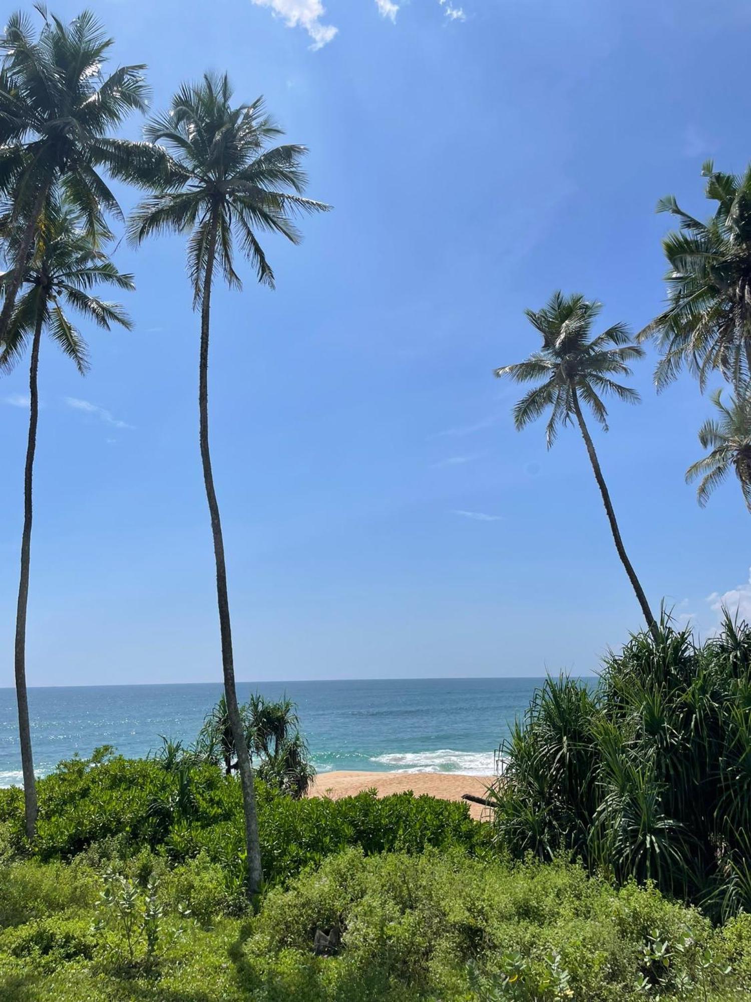 Turtle Island Cabana 坦加拉 外观 照片