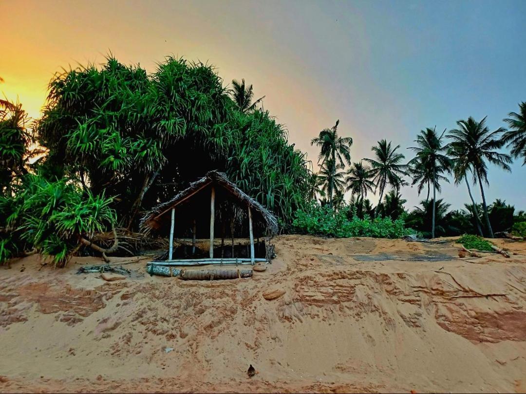 Turtle Island Cabana 坦加拉 外观 照片