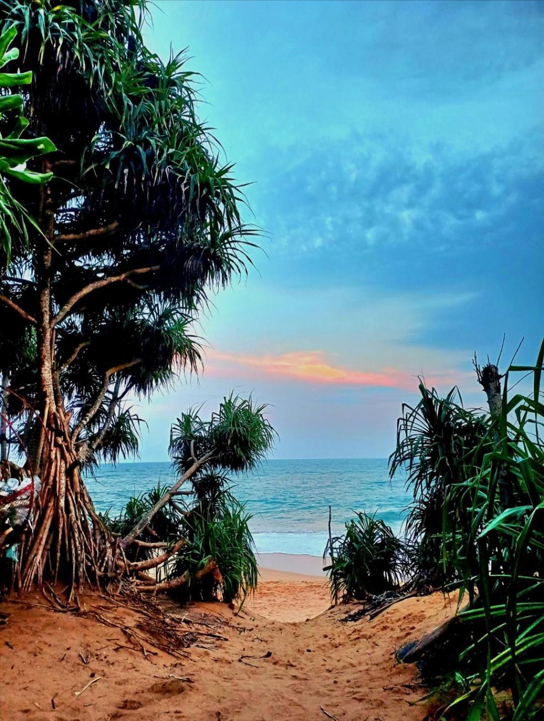 Turtle Island Cabana 坦加拉 外观 照片